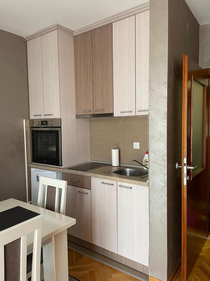 Apartman Miniki Vrnjacka Banja Ngoại thất bức ảnh