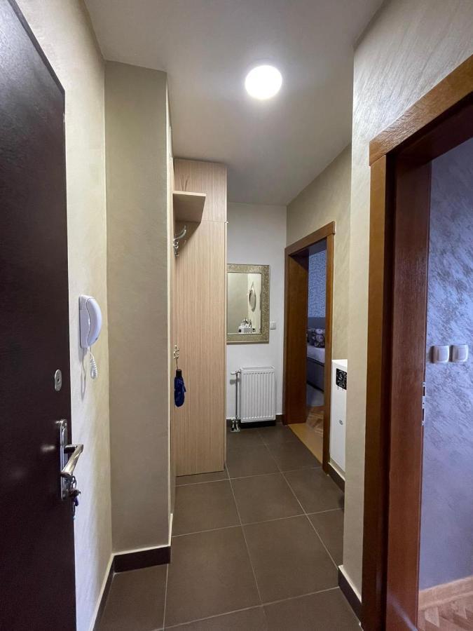 Apartman Miniki Vrnjacka Banja Ngoại thất bức ảnh